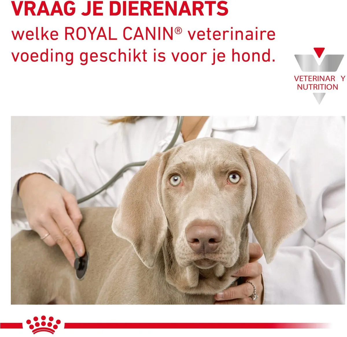 Royal Canin Veterinary Diet Cardiac Hondenvoer 2kg