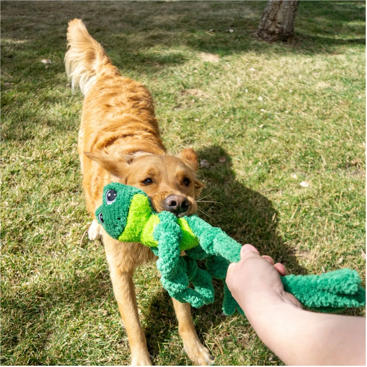 KONG Knots Frog Groene Knuffel 46cm