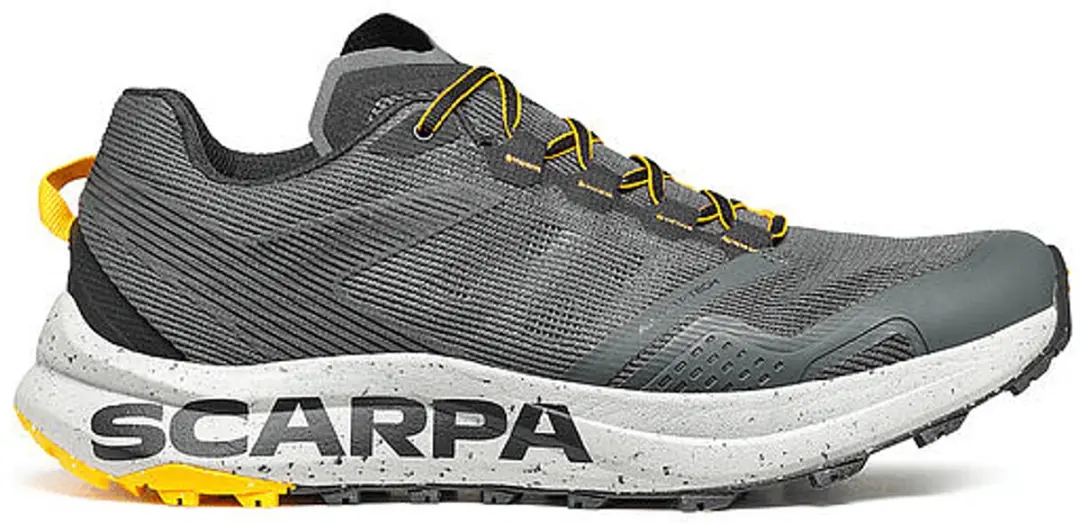 Scarpa