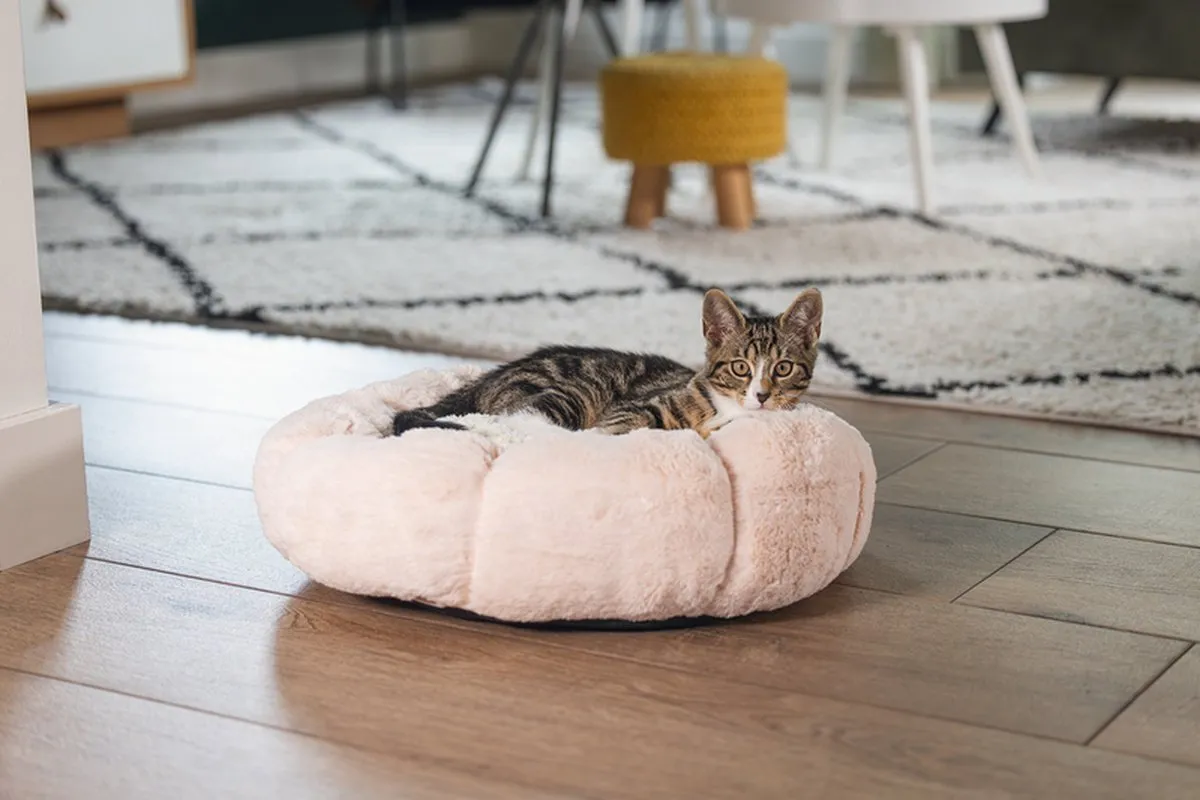Beeztees Kitten Ligmand Maui - Roze - 50x50x15cm