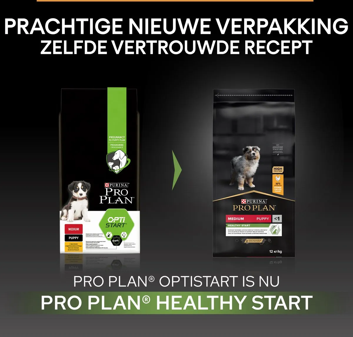 Pro Plan Medium Puppy Kip 12kg