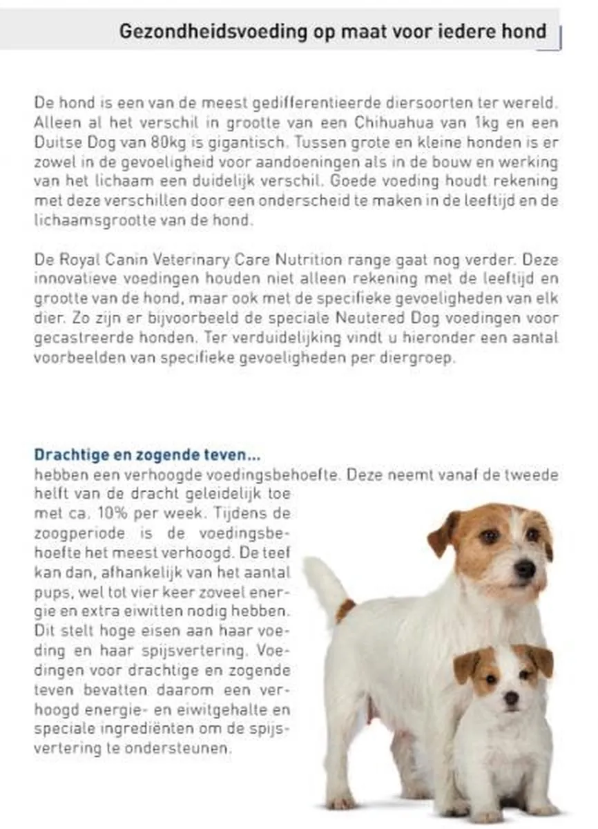 Royal Canin Veterinary Diet Large Dog Adult Hondenvoer 14kg