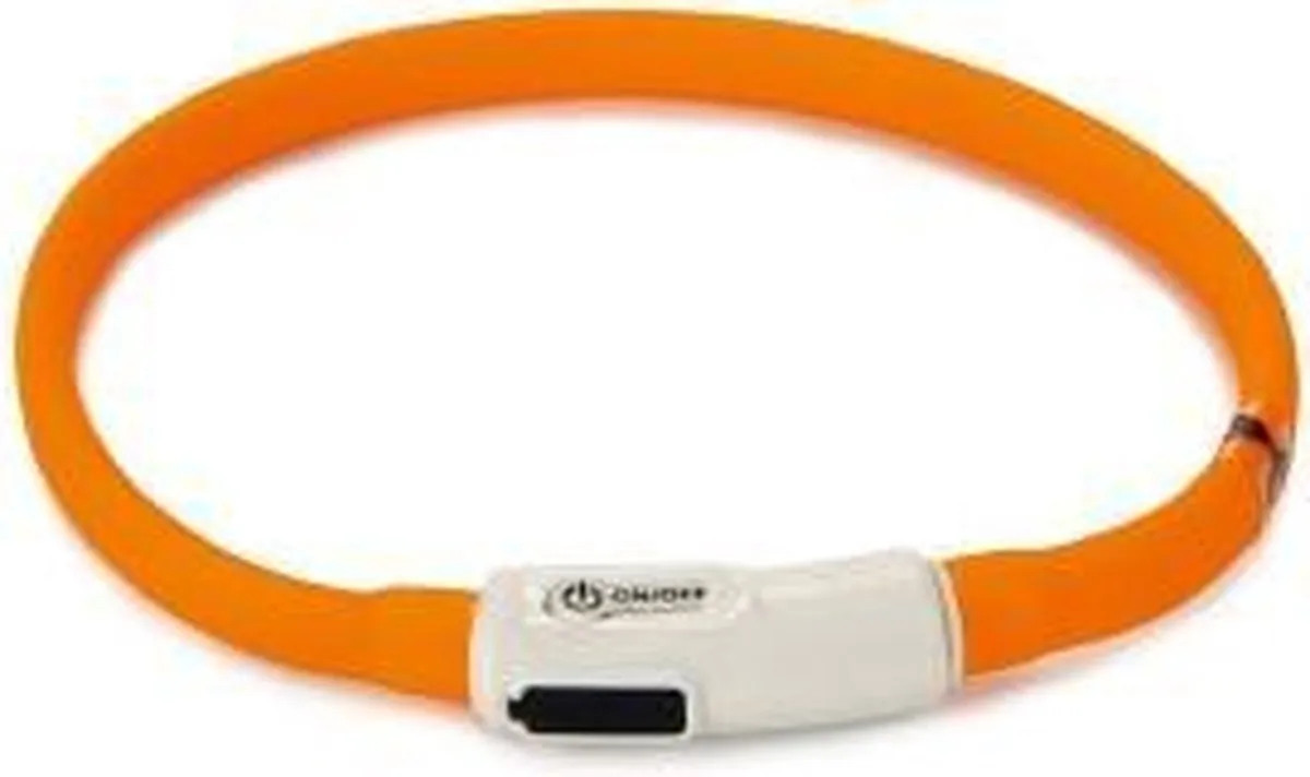 Beeztees Safety Gear Halsband met USB Dogini