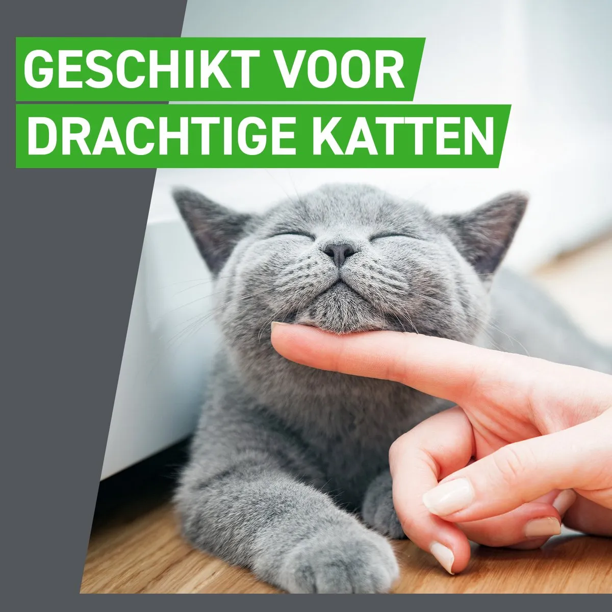 Frontline Combo Kat Vlooiendruppels - 12 Pipetten