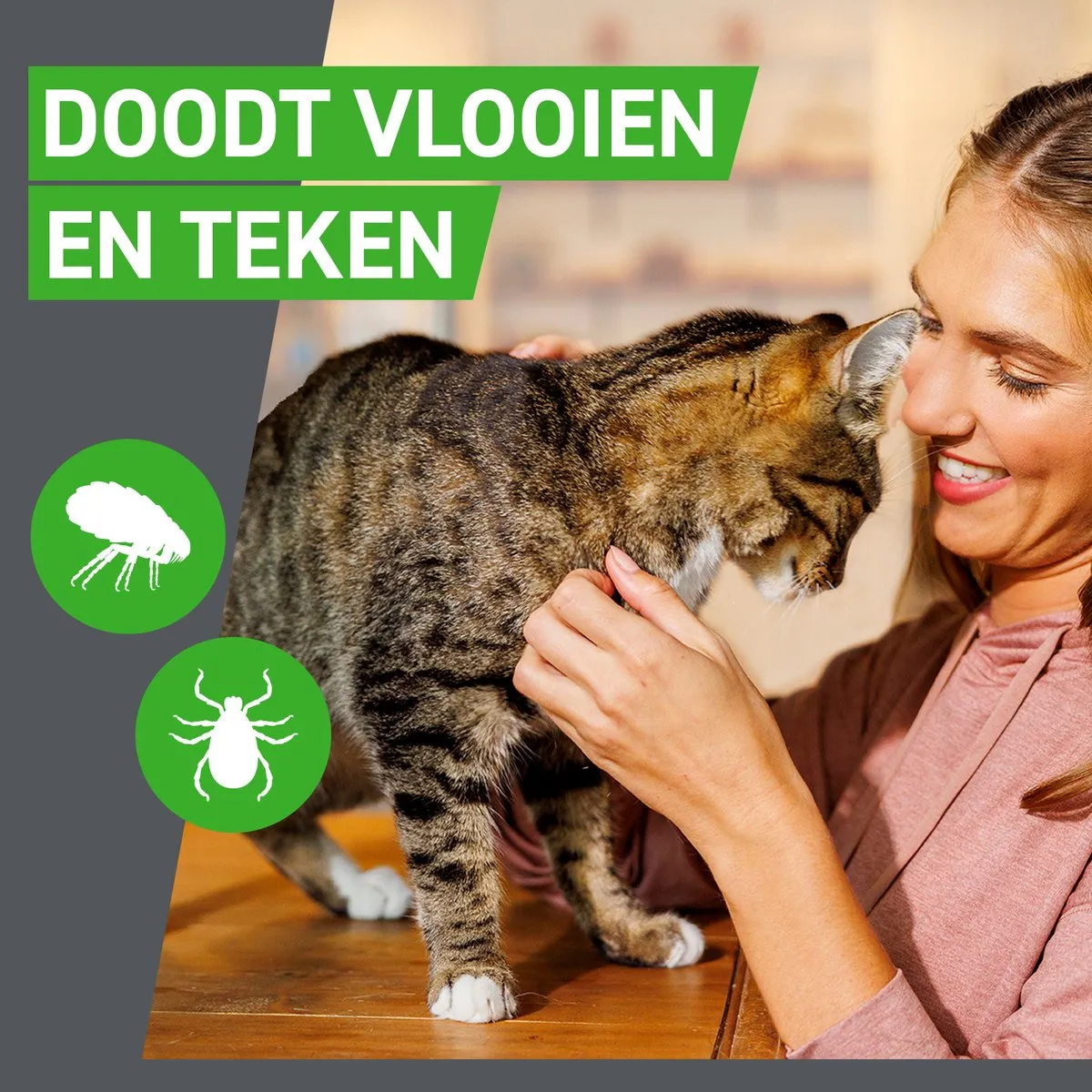 Frontline Combo Kat Vlooiendruppels - 12 Pipetten
