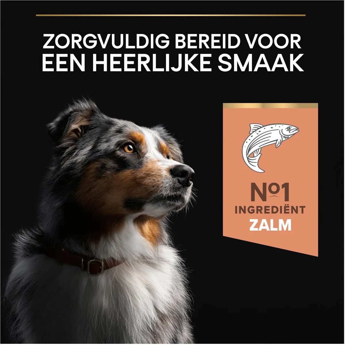 Pro Plan Medium Adult Sensitive Skin Zalm Hondenvoer 3kg