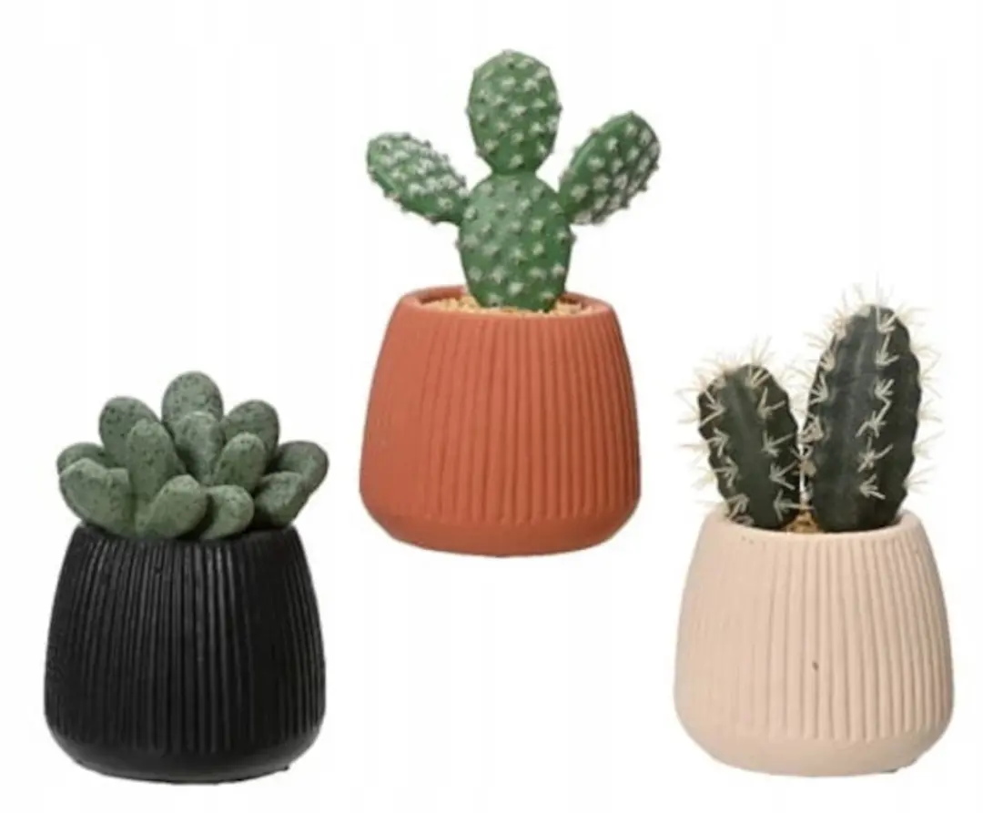 Decoratieve plant EDM 808448 Cactus 14 cm
