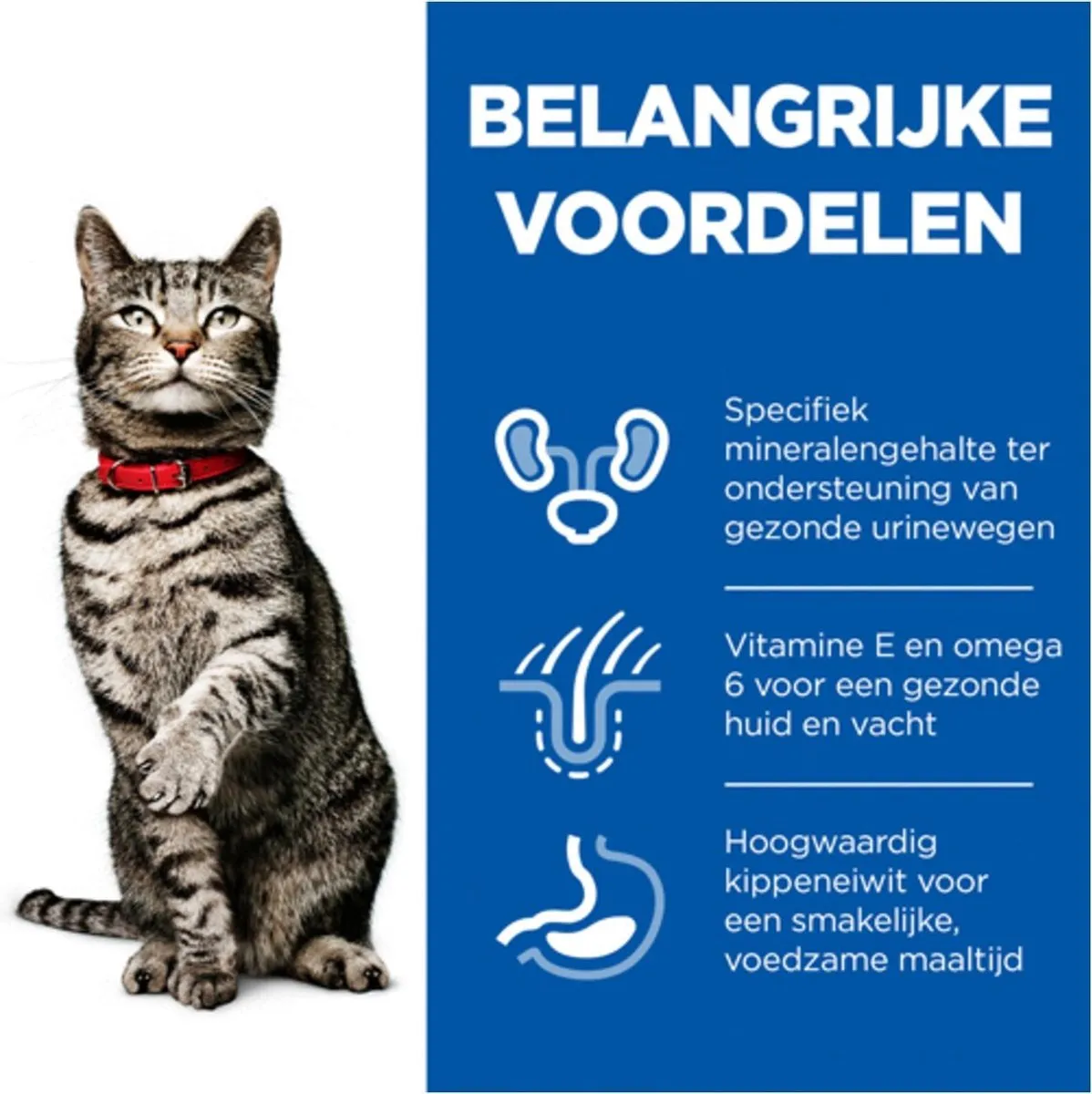 Hill's Feline Adult Urinary Health Kattenvoer Kip 7kg