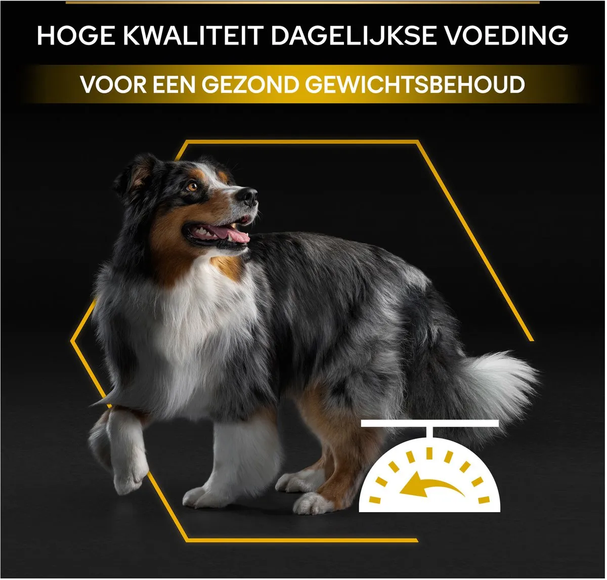 Pro Plan Light Sterilised Adult Hondenvoer Kip 14kg