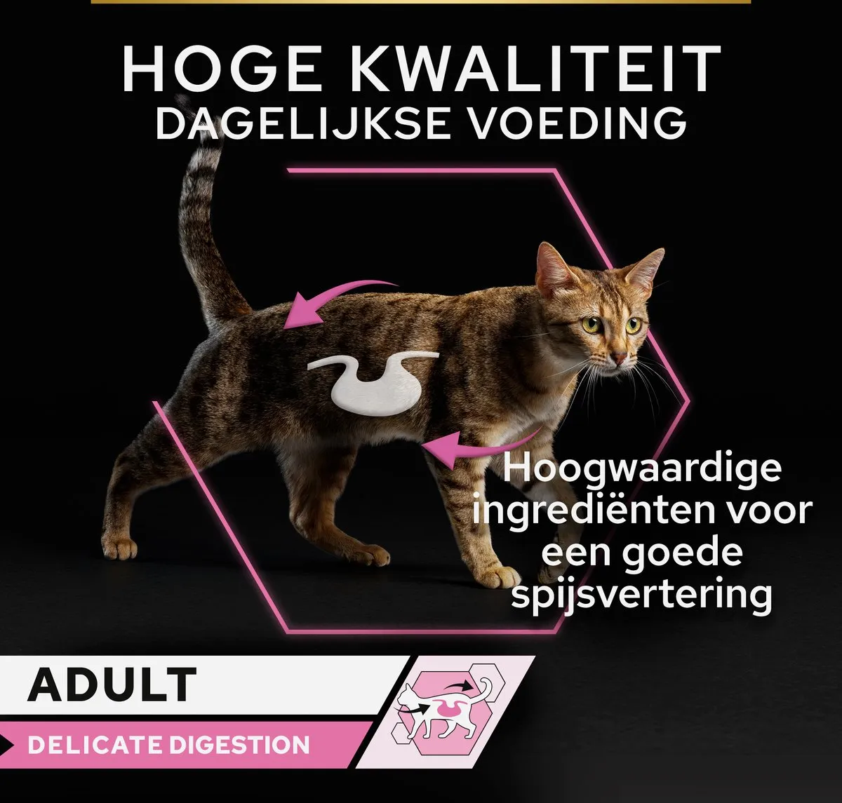 Pro Plan Delicate Digestion Kat Natvoer Vis - 40x85g