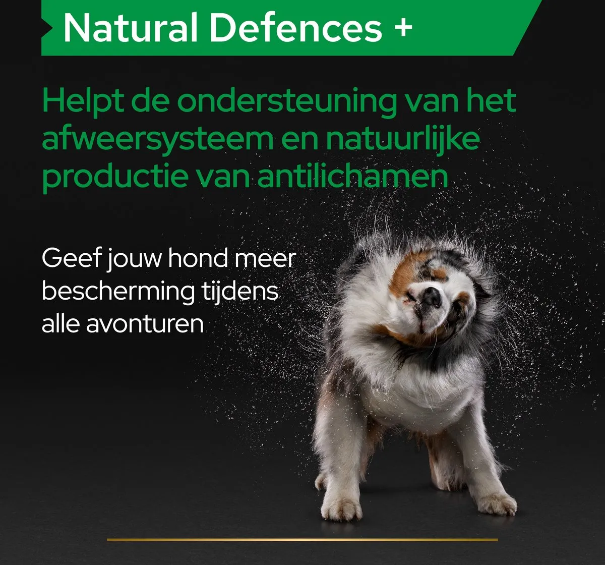 Pro Plan Natural Defence Tabletten Hond 67g