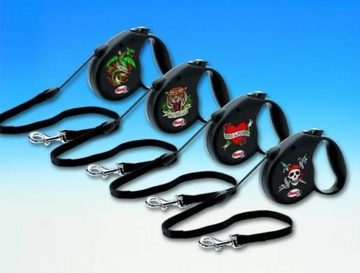 Flexi Leine ROCK STAR Drache 5m