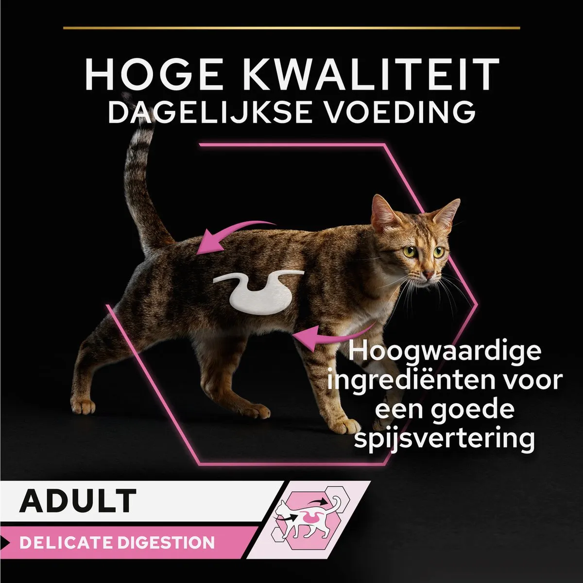 Pro Plan Cat NutriSavour Delicate - 10x85g