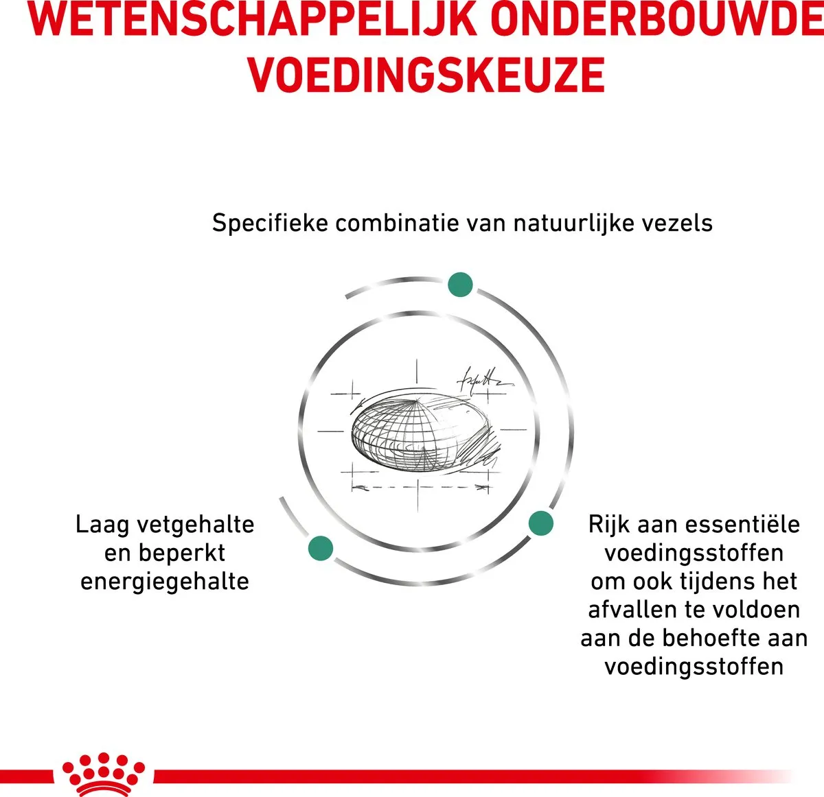 Royal Canin Satiety Weight Management - Kattenvoer - 6 kg