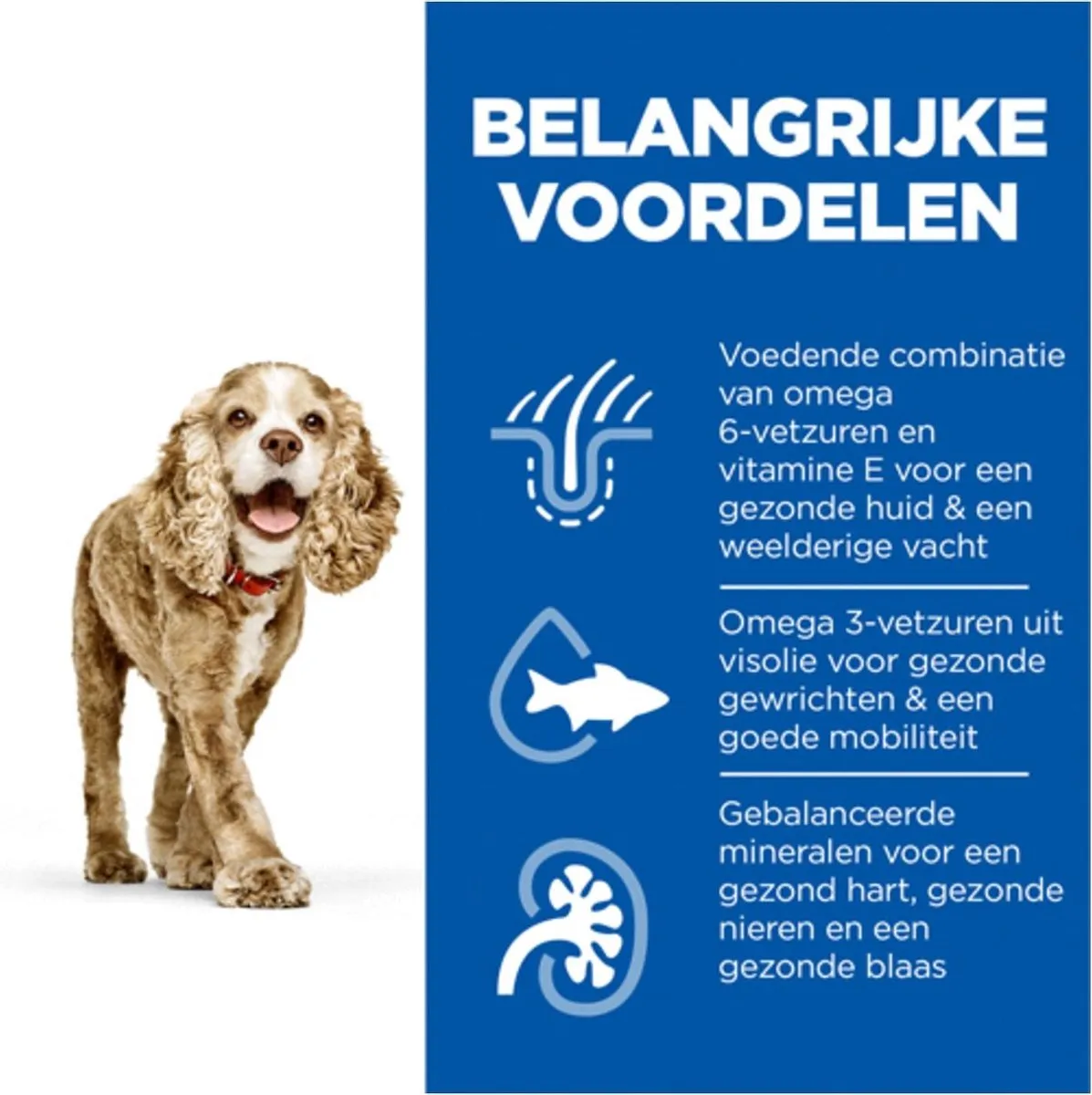 Hill's Canine Adult Small/Minature Senior 11+ - afbeelding 6 van 6