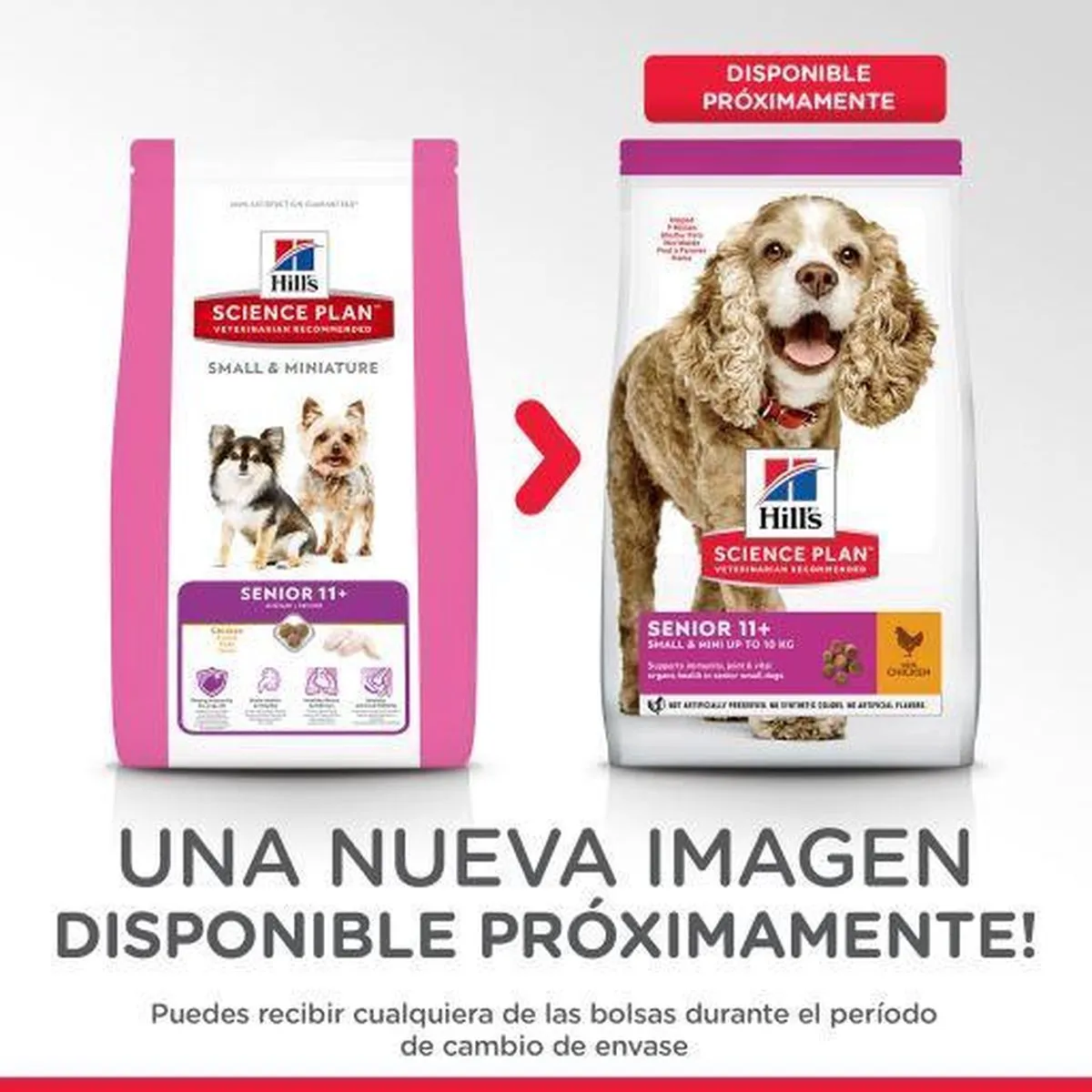 Hill's Canine Adult Small/Minature Senior 11+