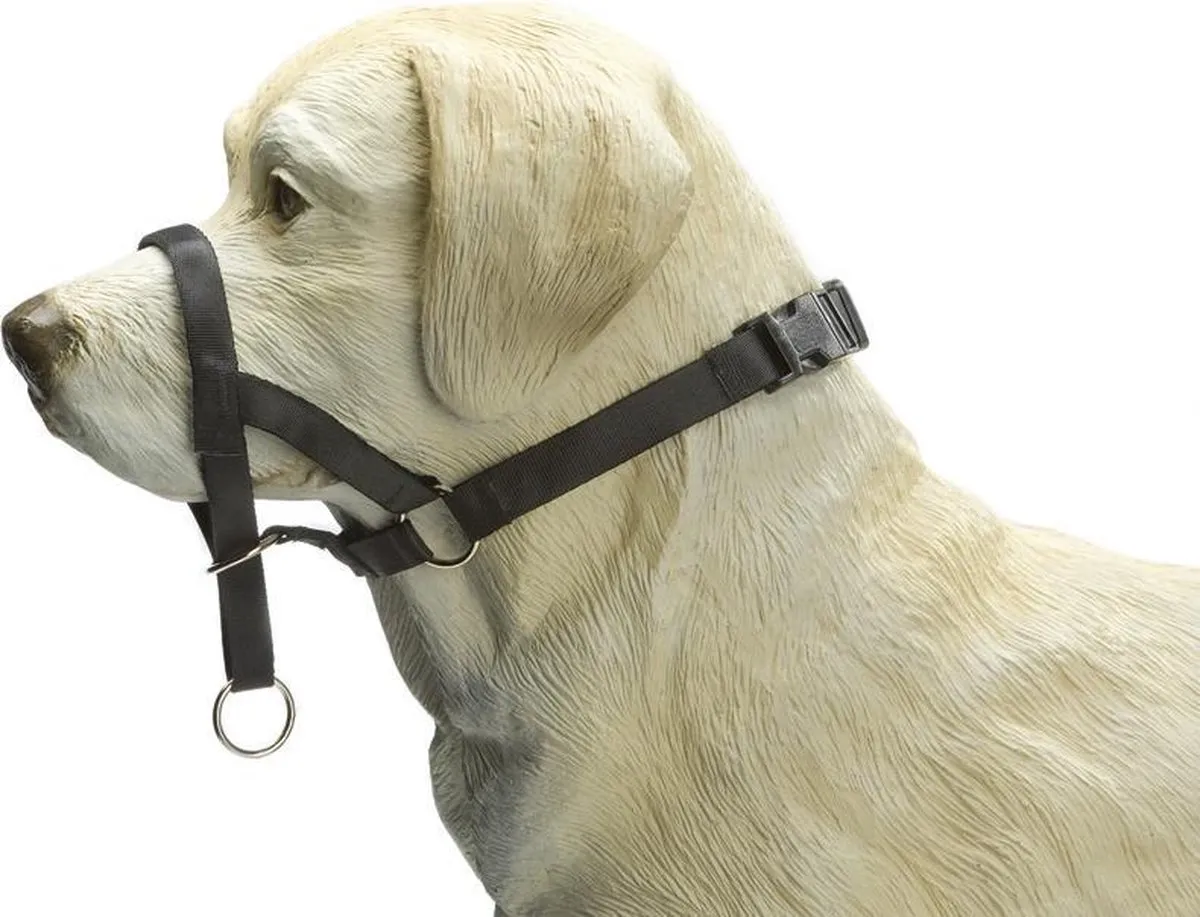 Beeztees Dog Control Halsband - L - Zwart