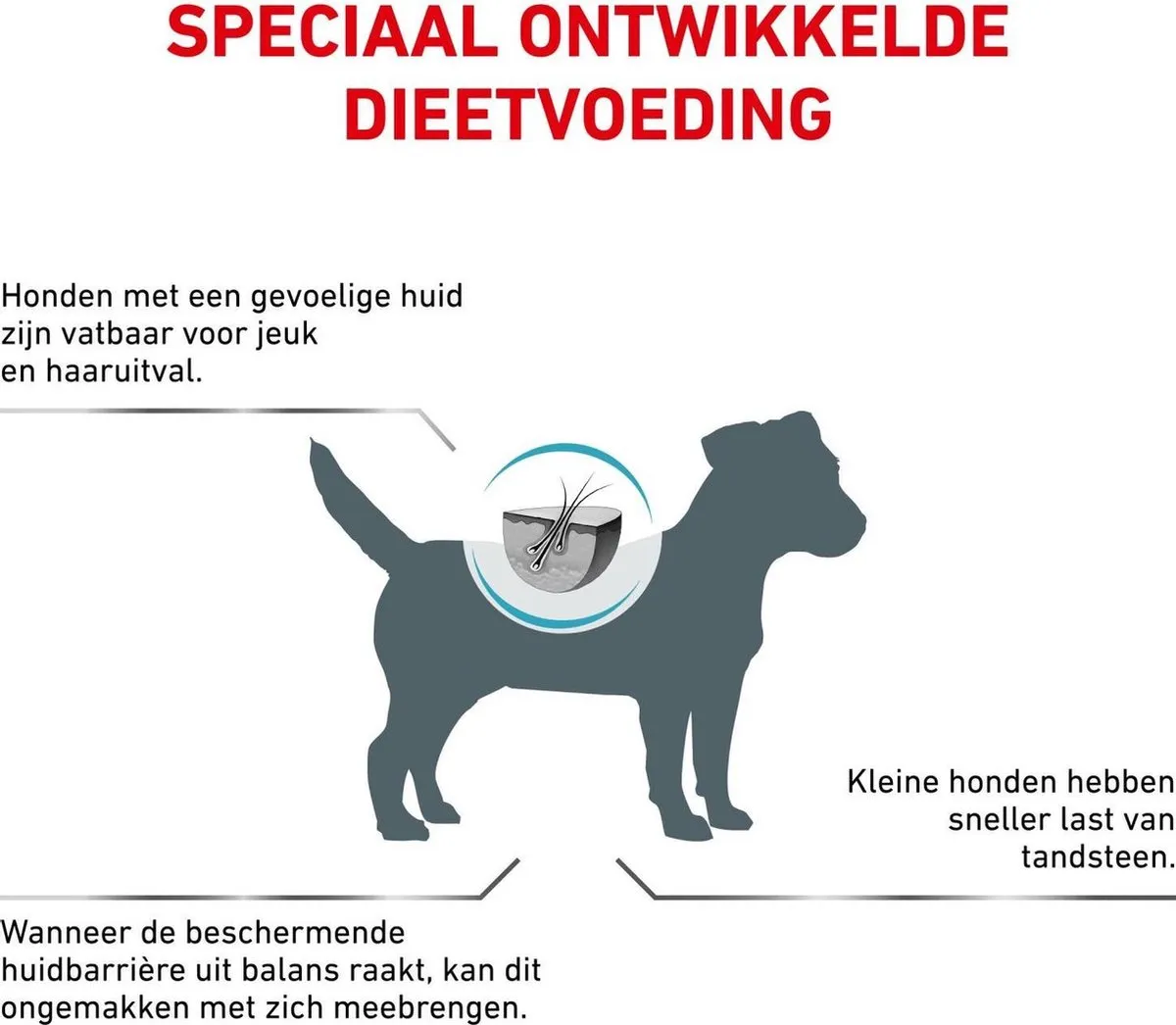 Royal Canin Skin Care Small Dogs 2kg
