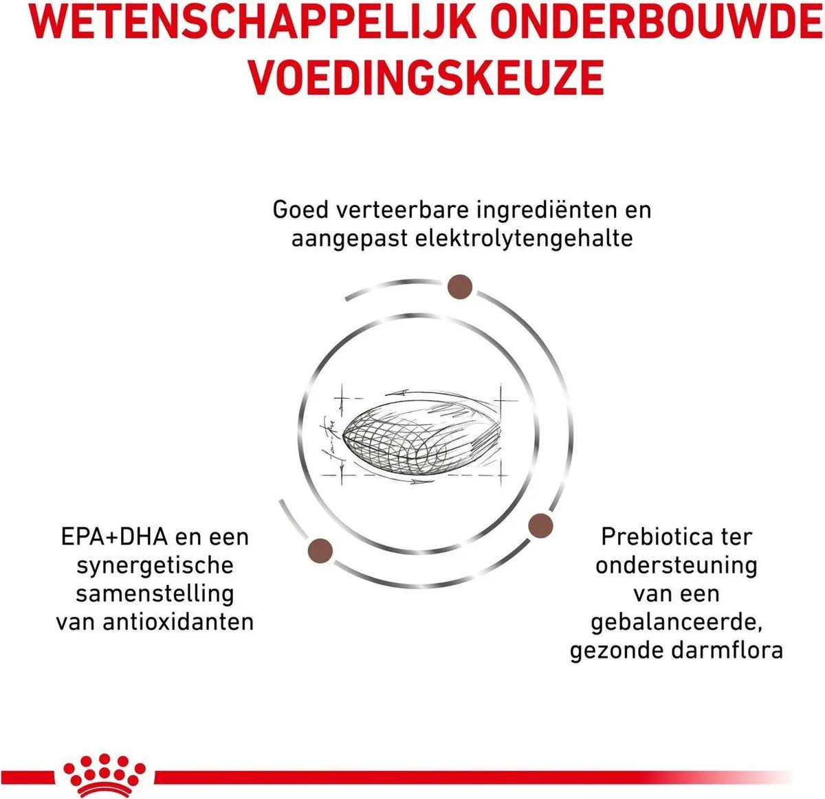 Royal Canin Gastrointestinal Hairball Kattenvoer 4kg