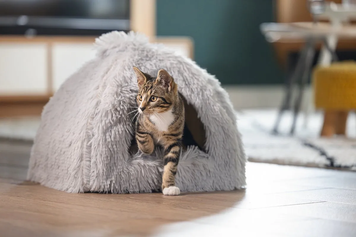 Beeztees Kitten Cave Cosmo Kattenmand - Pluche Grijs 40x40x40cm