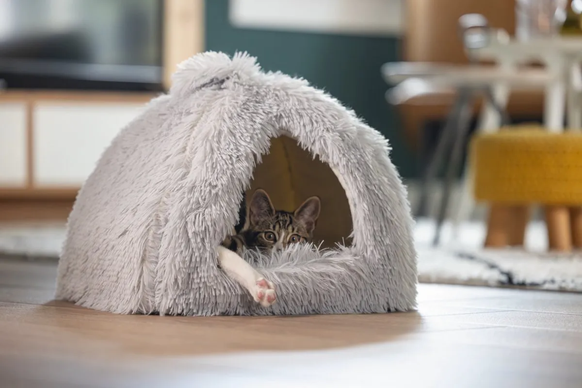 Beeztees Kitten Cave Cosmo Kattenmand - Pluche Grijs 40x40x40cm