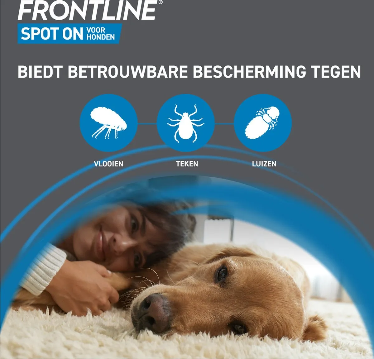 Frontline Spot On Hond 1 Small - 6 Pip