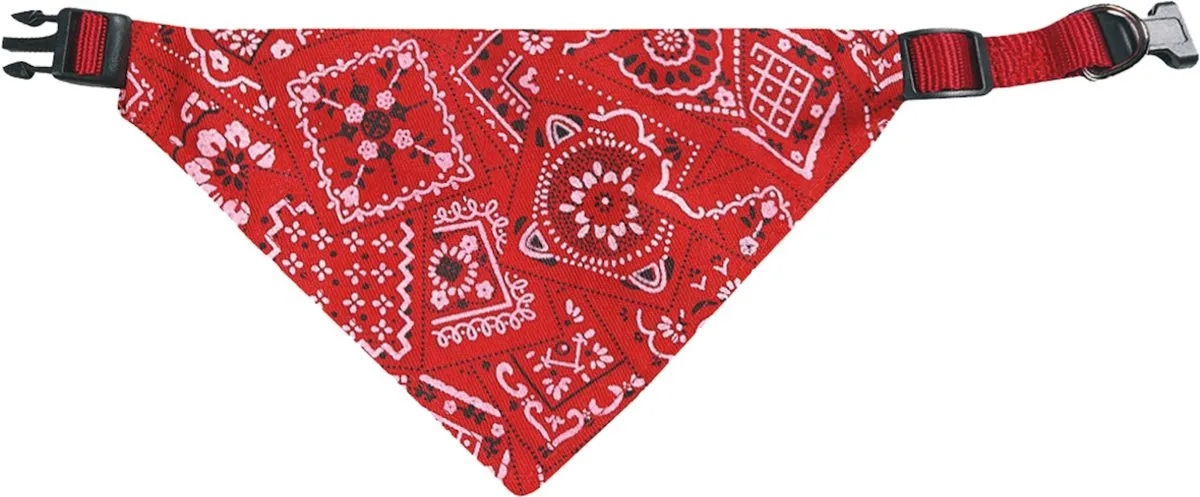 Flamingo Pinto Halsband met Bandana