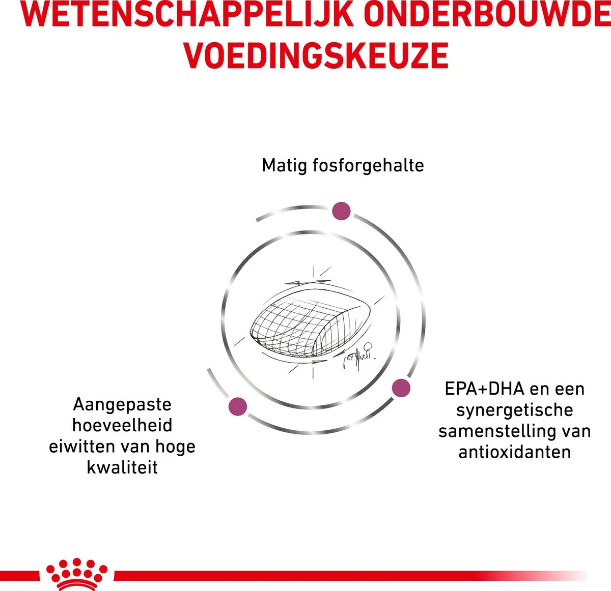 Royal Canin Veterinary Diet Dog Early Renal Hondenvoer 7kg