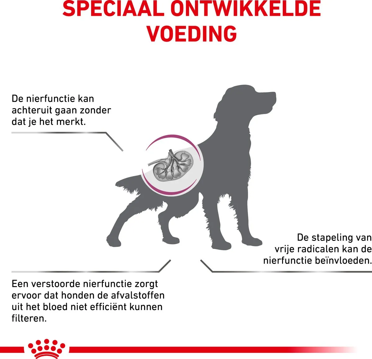Royal Canin Veterinary Diet Dog Early Renal Hondenvoer 7kg