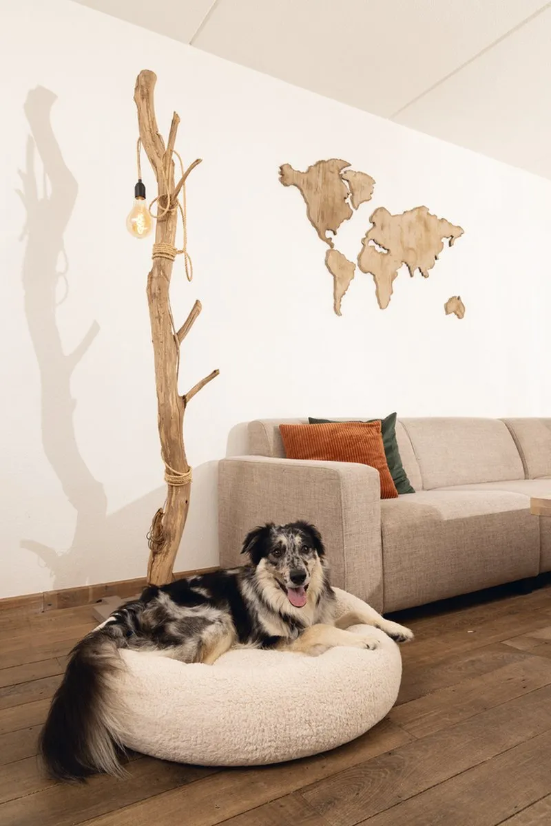 Beeztees Jaxx Orthopedische Hondenmand - Beige 60x60x25cm