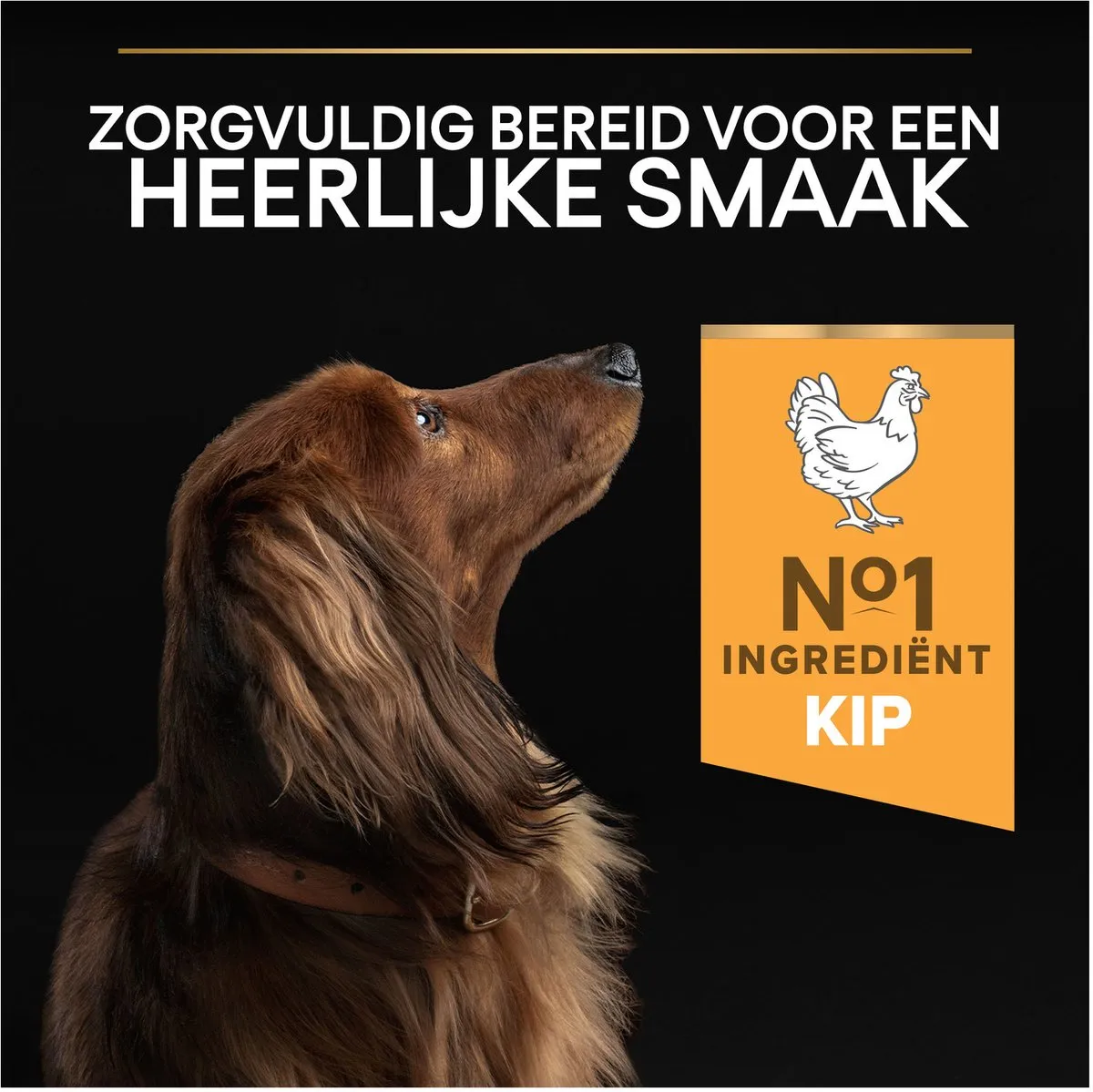 Pro Plan Everyday Nutrition Adult Small & Mini Kip Droogvoer - 12 kg