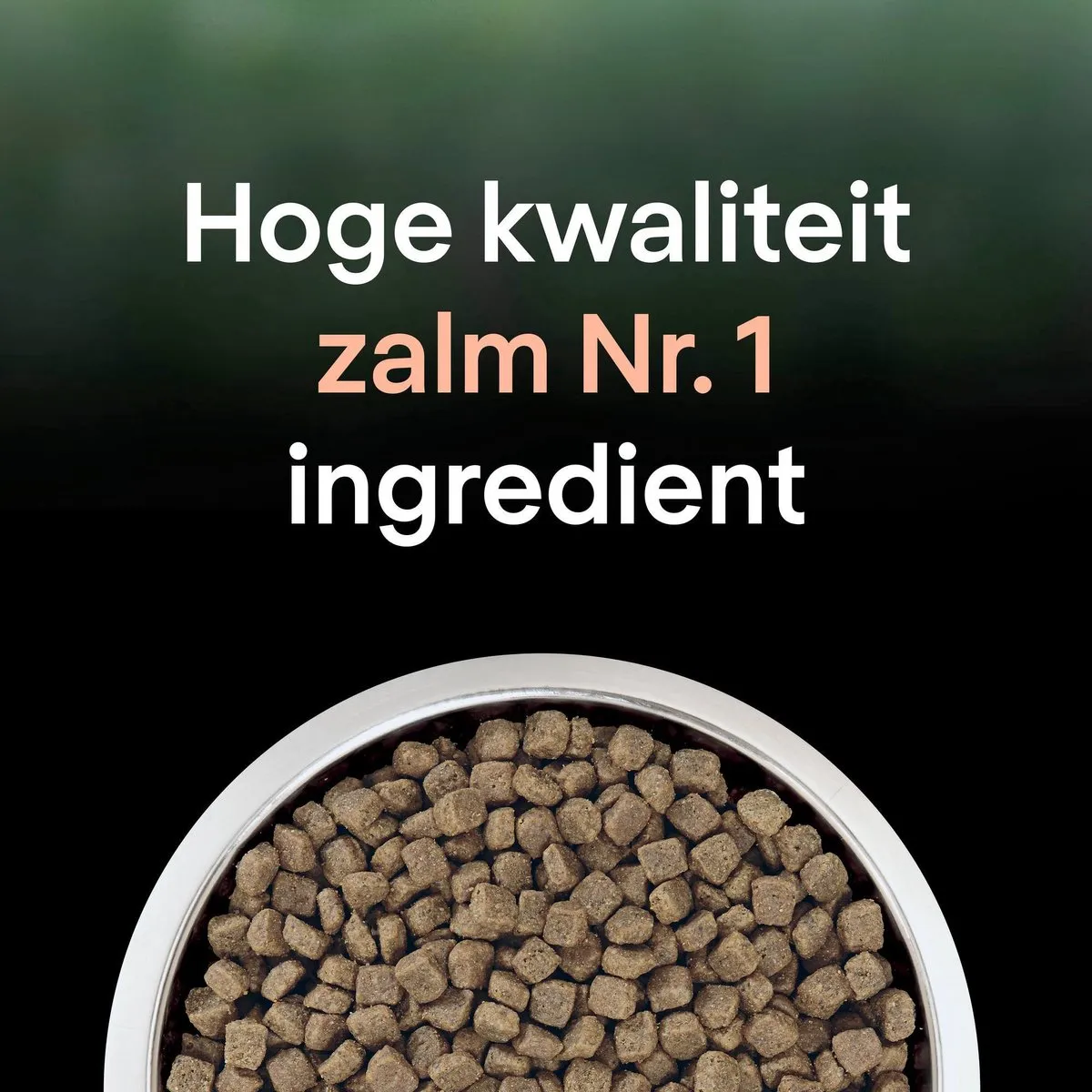 Pro Plan Adult LiveClear Kattenvoer Zalm 1.4kg - afbeelding 6 van 6