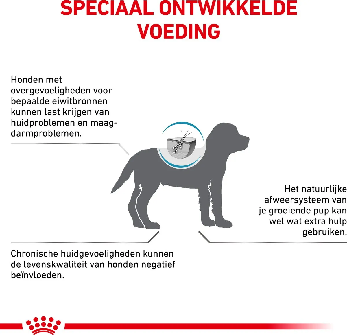 Royal Canin Hypoallergeen Puppy 1.5kg