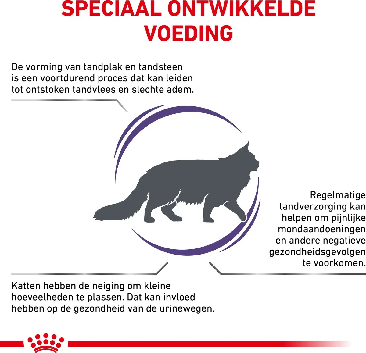 Royal Canin Expert Dental Kattenvoer 3kg