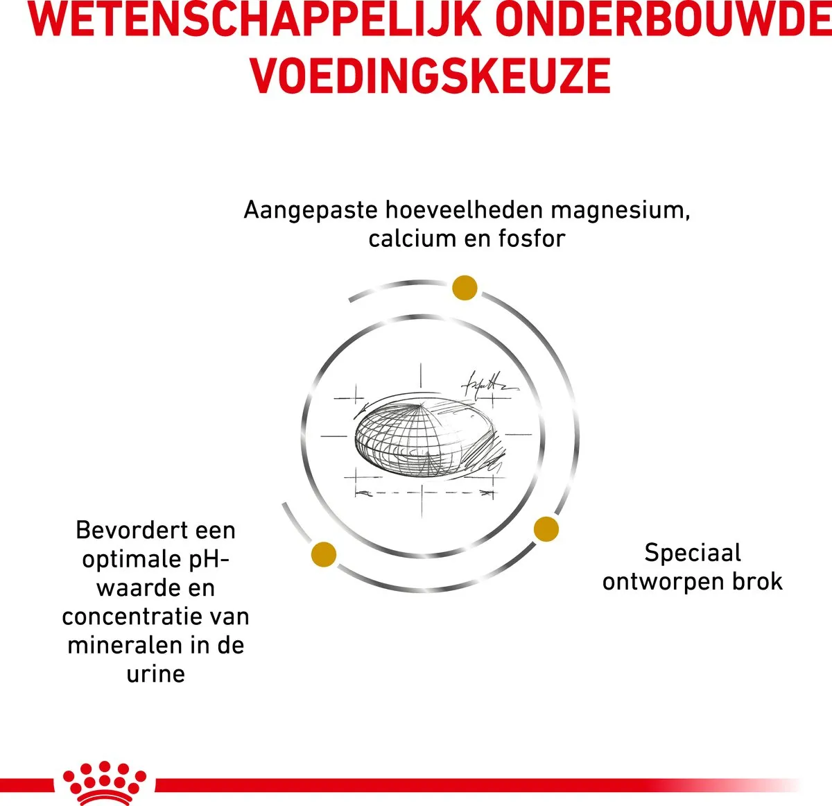 Royal Canin Veterinary Diet Urinary S/O Small Dogs Hondenvoer 4kg