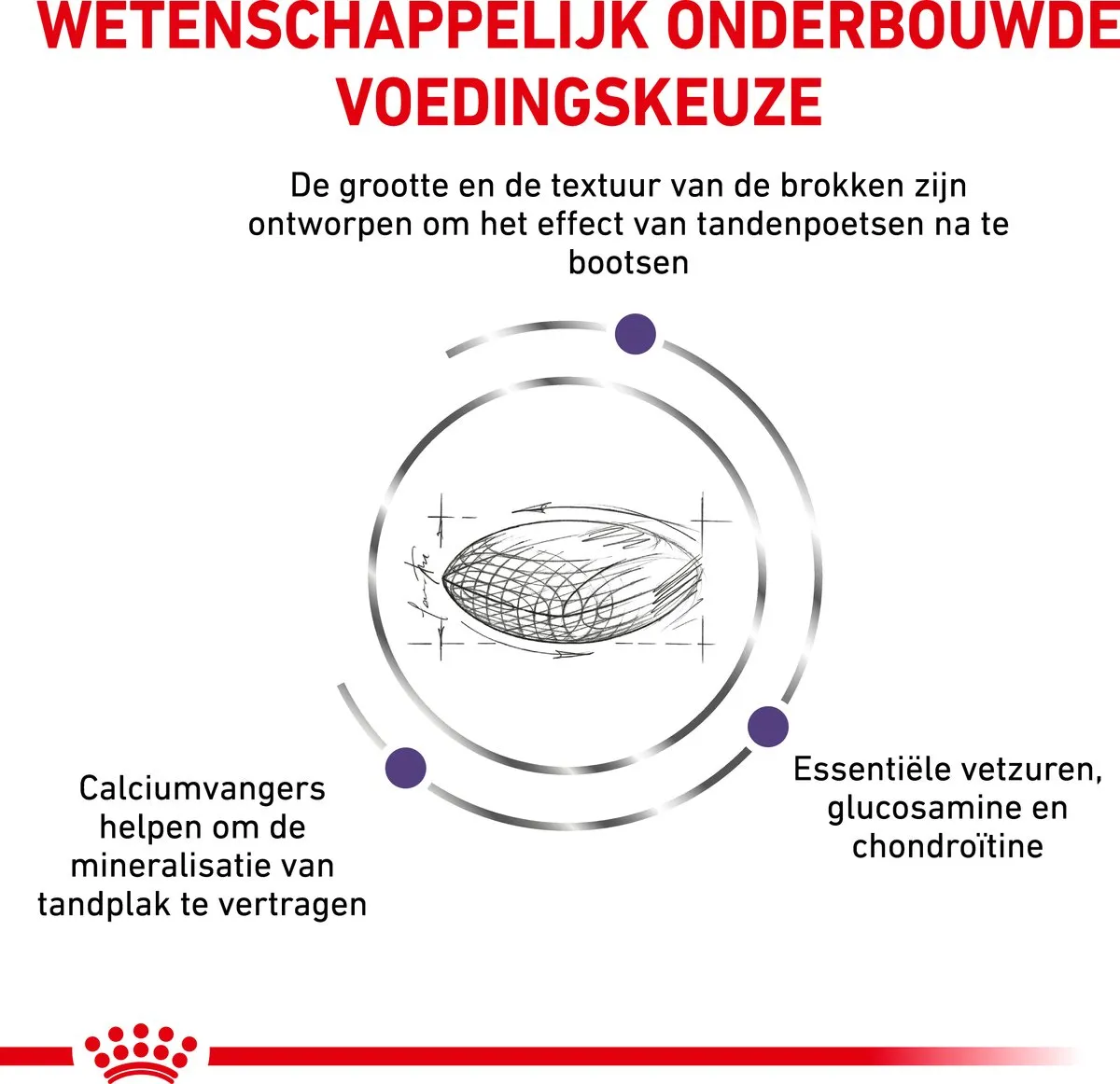 Royal Canin Veterinary Diet Dental Medium & Large Breed Adult Hondenvoer 6kg