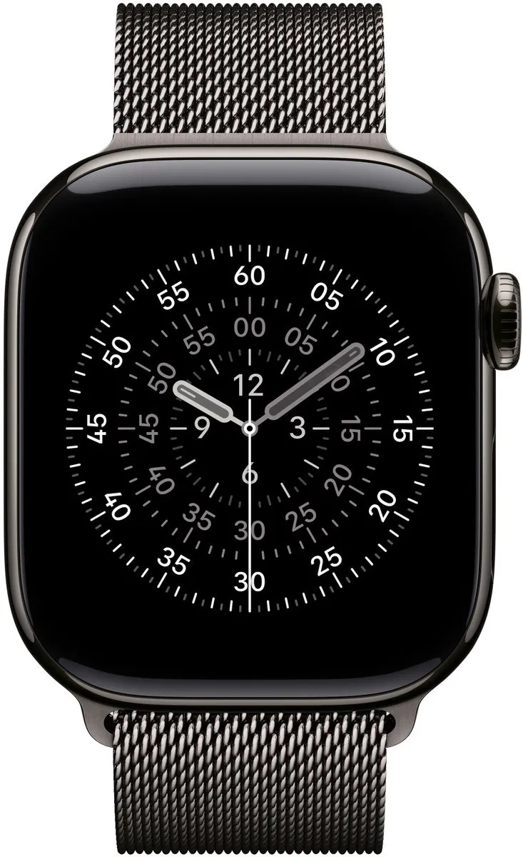 Apple Band Leisteenkleur Roestvrijstaal 42mm - One Size