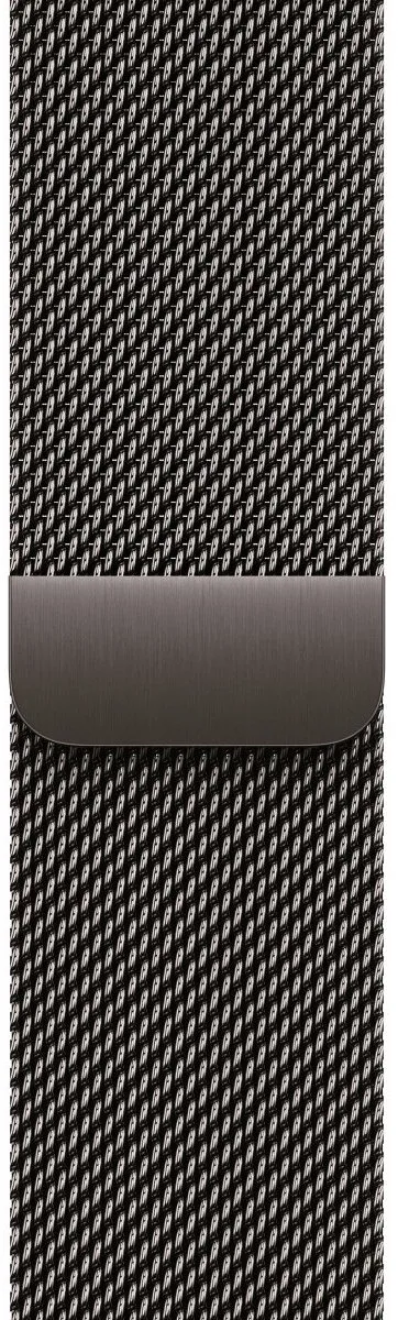 Apple Band Leisteenkleur Roestvrijstaal 42mm