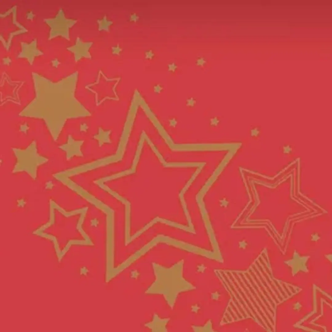 Duni Dunicel 3-in-1 Tafelloper Holiday Star 40x480cm Rood - afbeelding 2 van 2