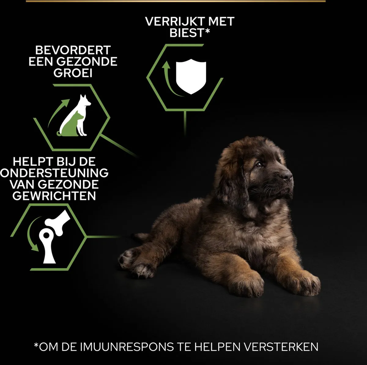 Pro Plan Large Robust Puppy Hondenvoer Kip 12kg
