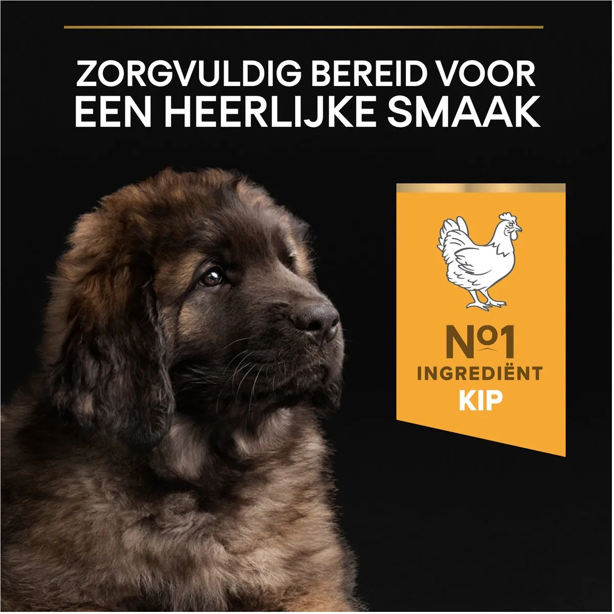 Pro Plan Large Robust Puppy Hondenvoer Kip 12kg