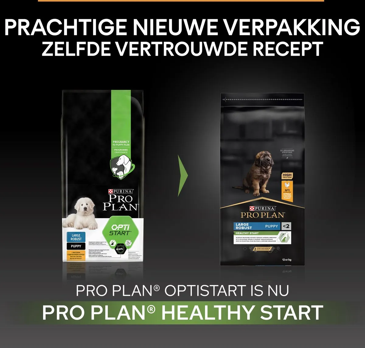 Pro Plan Large Robust Puppy Hondenvoer Kip 12kg