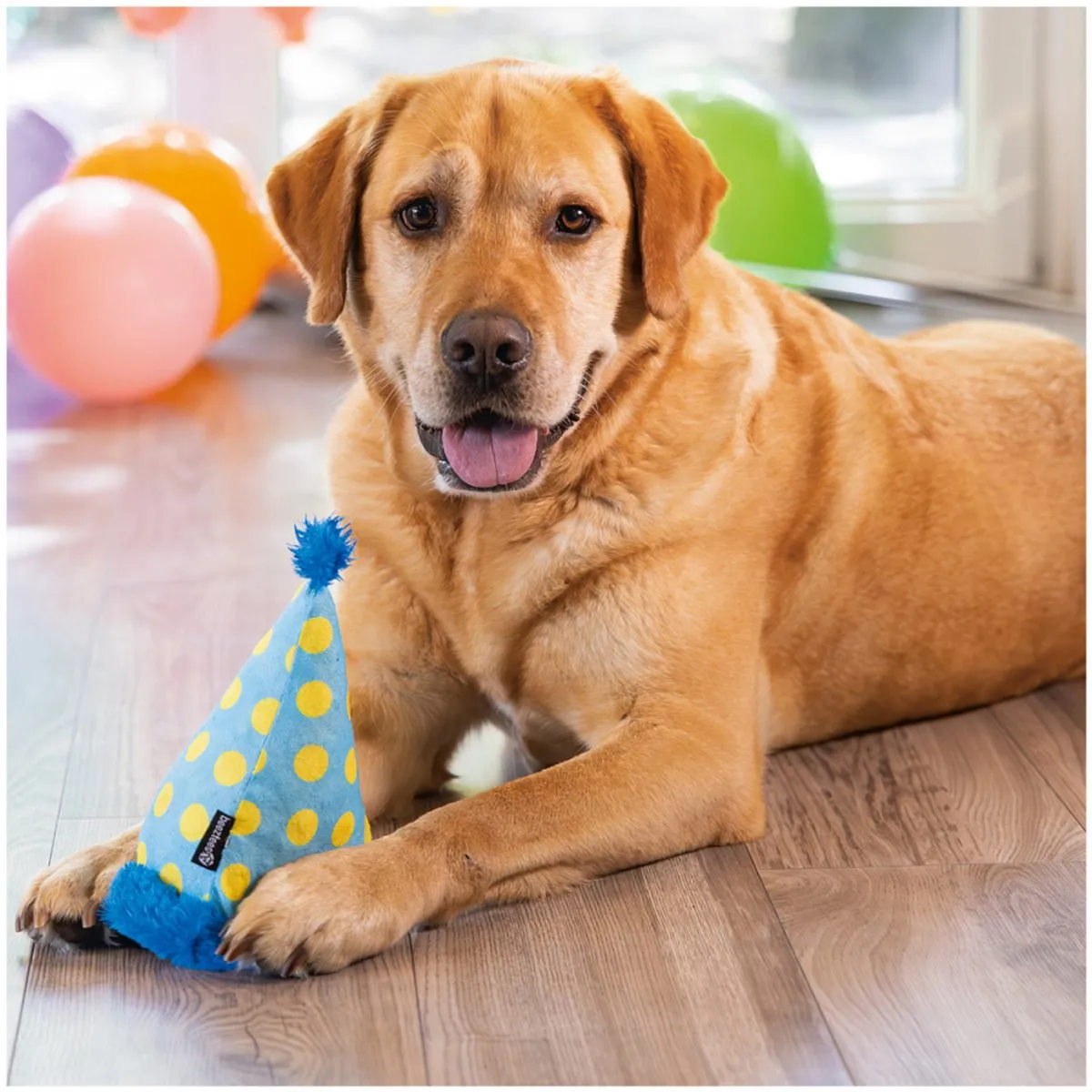 Beeztees Hondenspeelgoed Party Feestmuts 22cm - Blauw/Geel