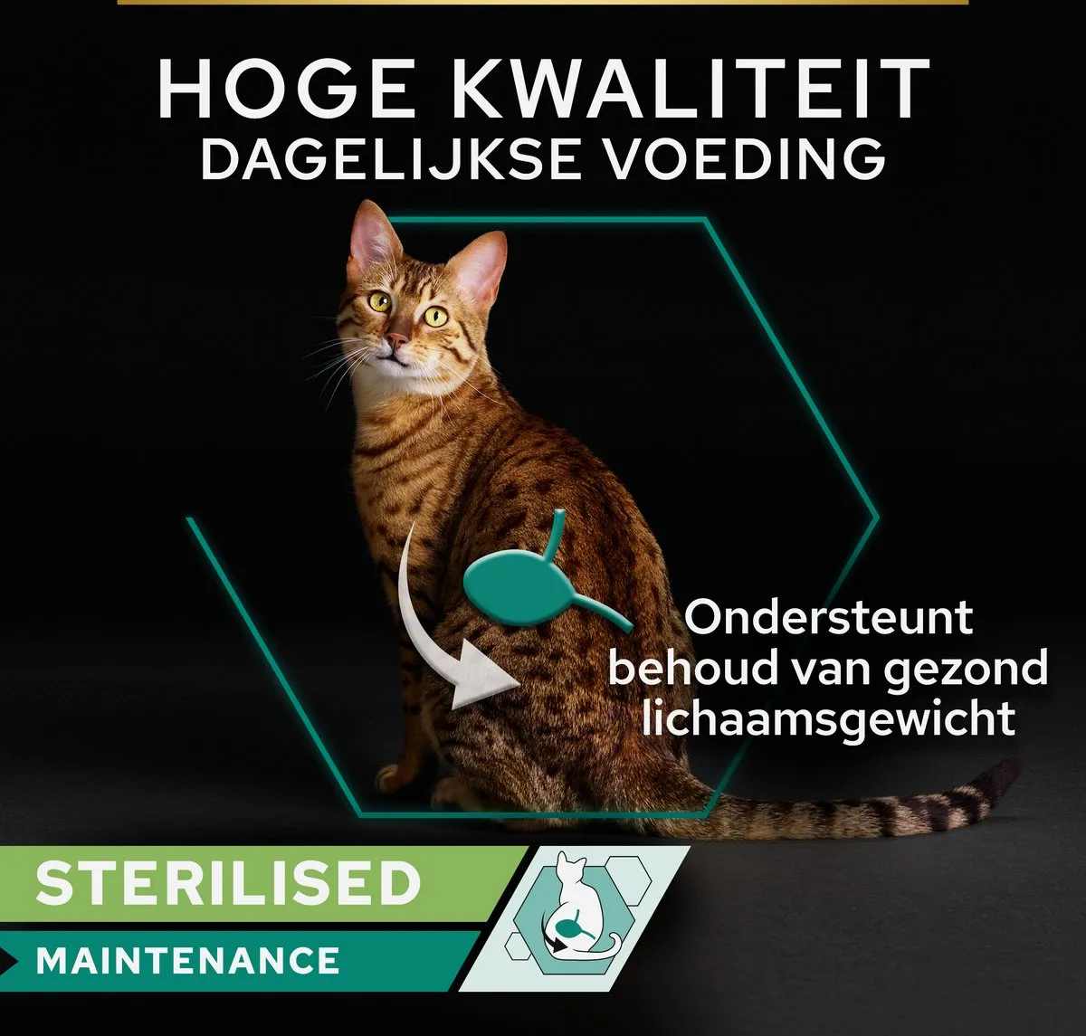 Pro Plan Sterilised Kat Natvoer Kip - 40x85g