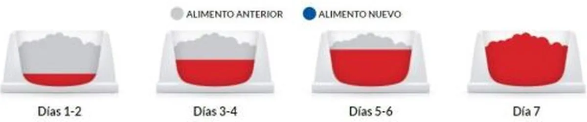 Hill's Science Plan Hondenvoer Adult Kip 370g - afbeelding 6 van 6