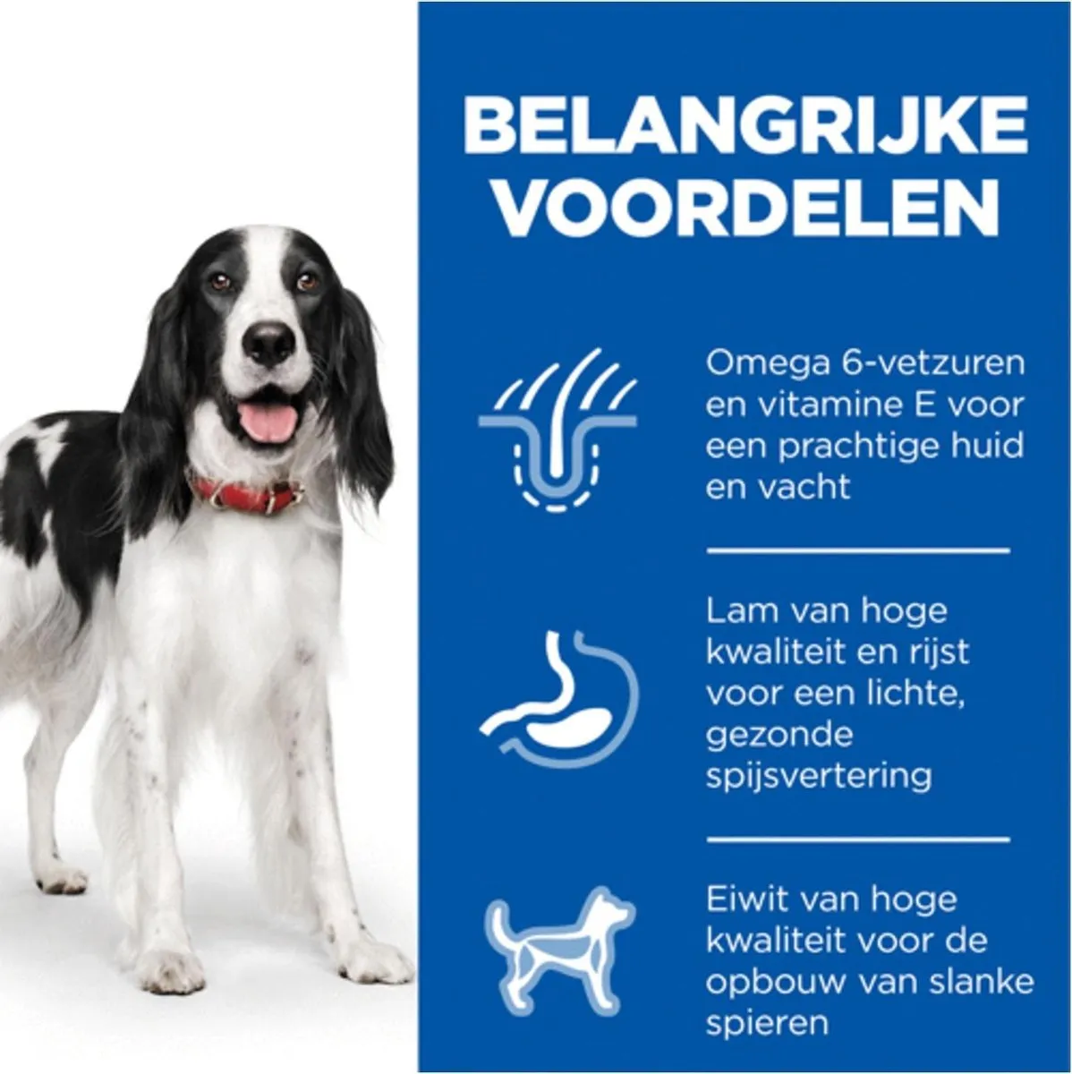 Hill's Canine Adult Medium Lam&Rijst Hondenvoer 2.5kg