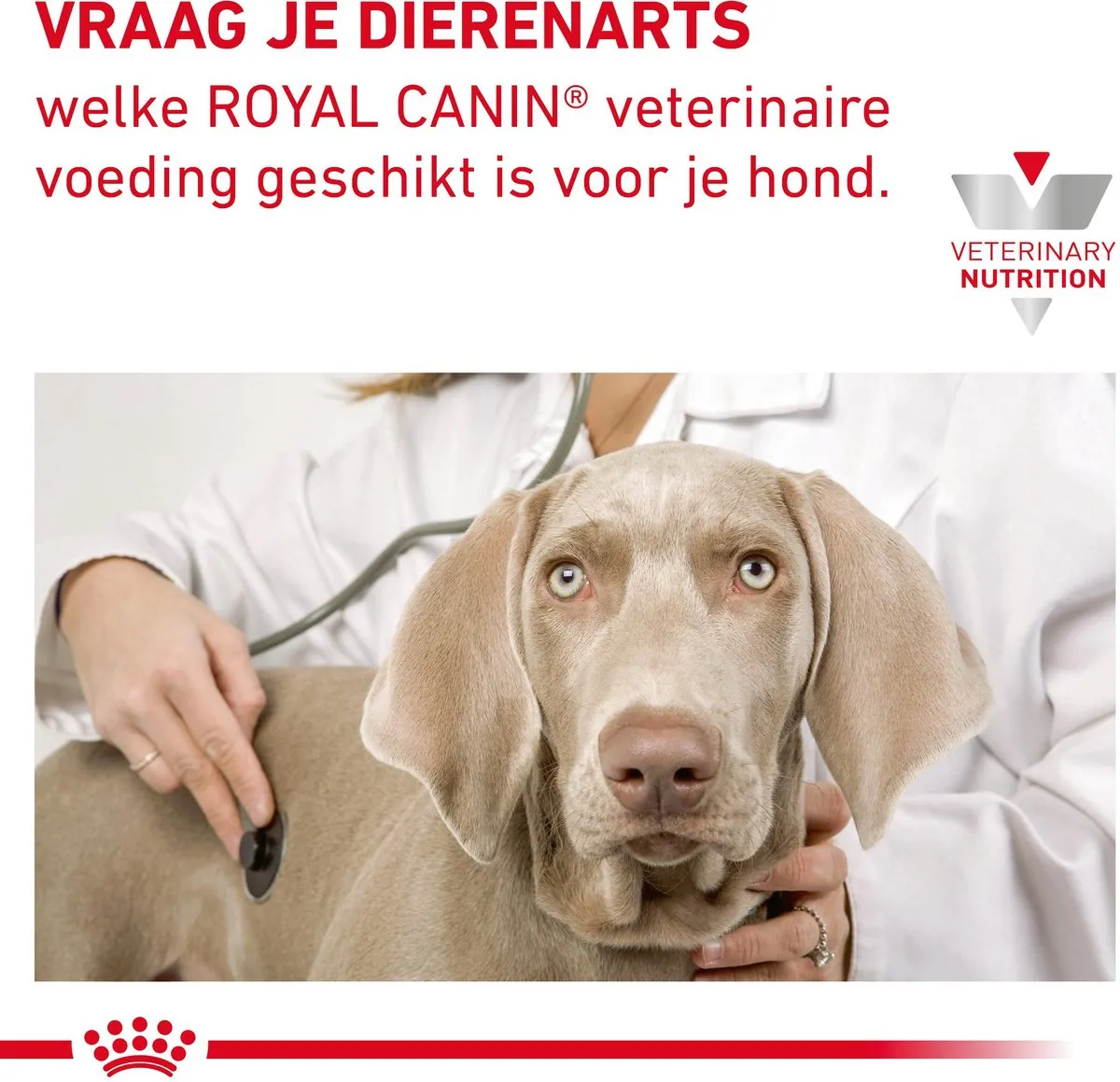 Royal Canin Veterinary Diet Gastro Intestinal Hondenvoer - 1 Stuk