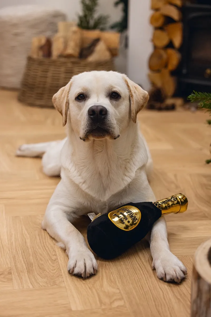 Beeztees Champagnefles Pluche Hondenspeelgoed - Zwart/Goud