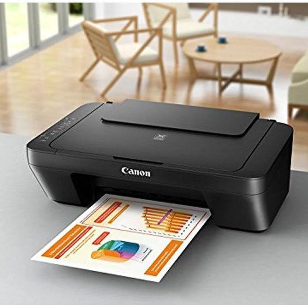 Canon PIXMA MG2550S All-In-One Printer - Zwart