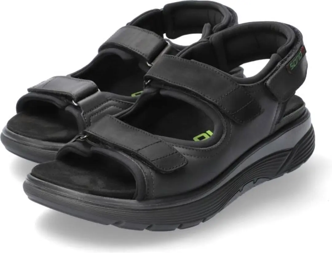 Mephisto Wilfried